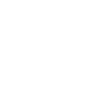 DV_Icon__0001_Efficient
